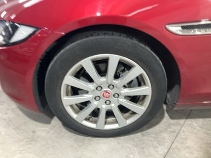 Neumático delantero izquierdo