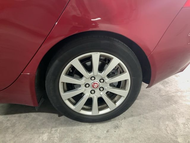 Neumático trasero izquierdo