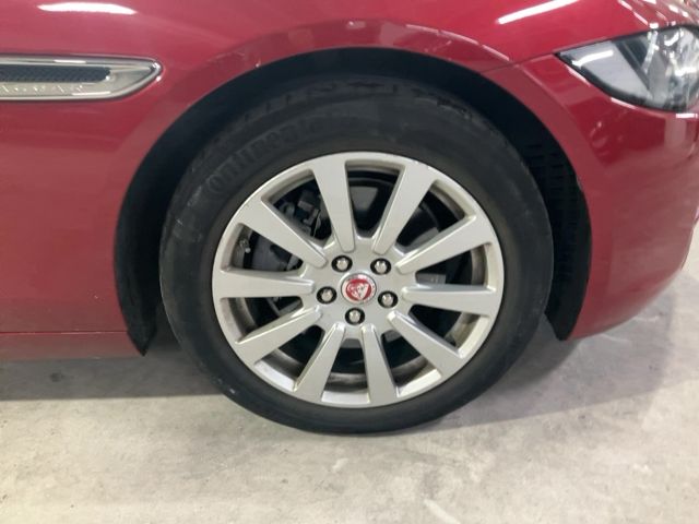 Neumático delantero derecho