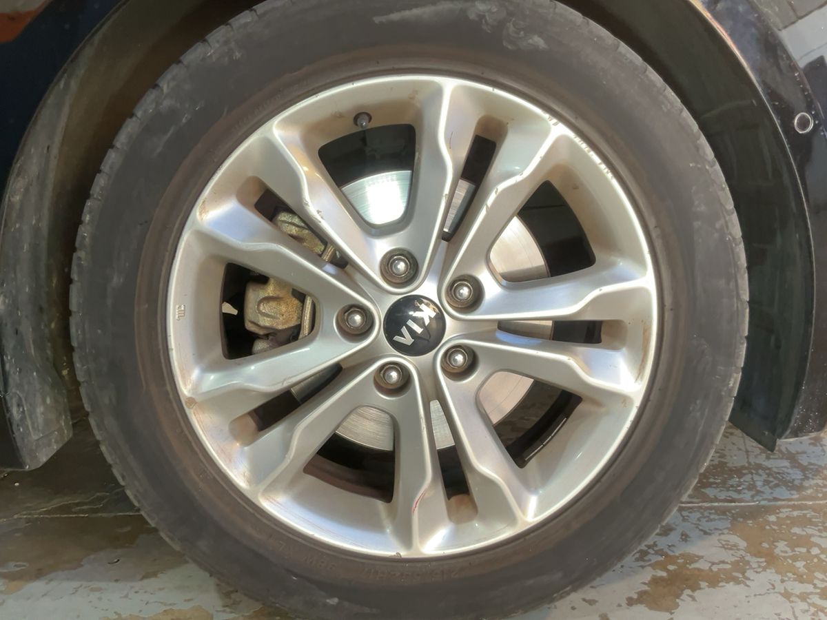 Neumático delantero derecho