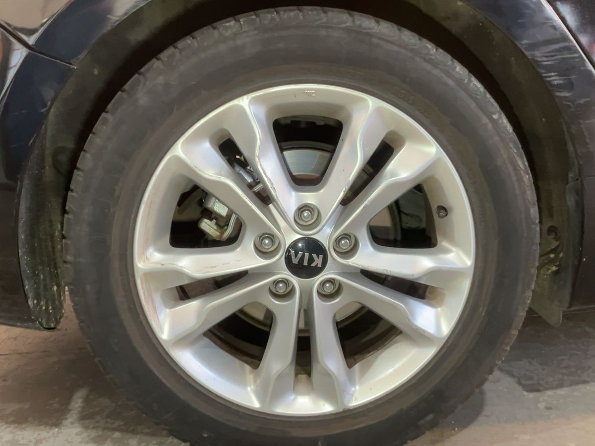 Neumático trasero derecho