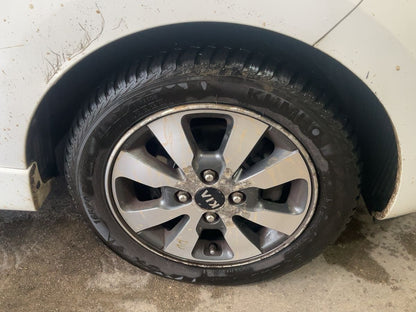 Neumático delantero derecho