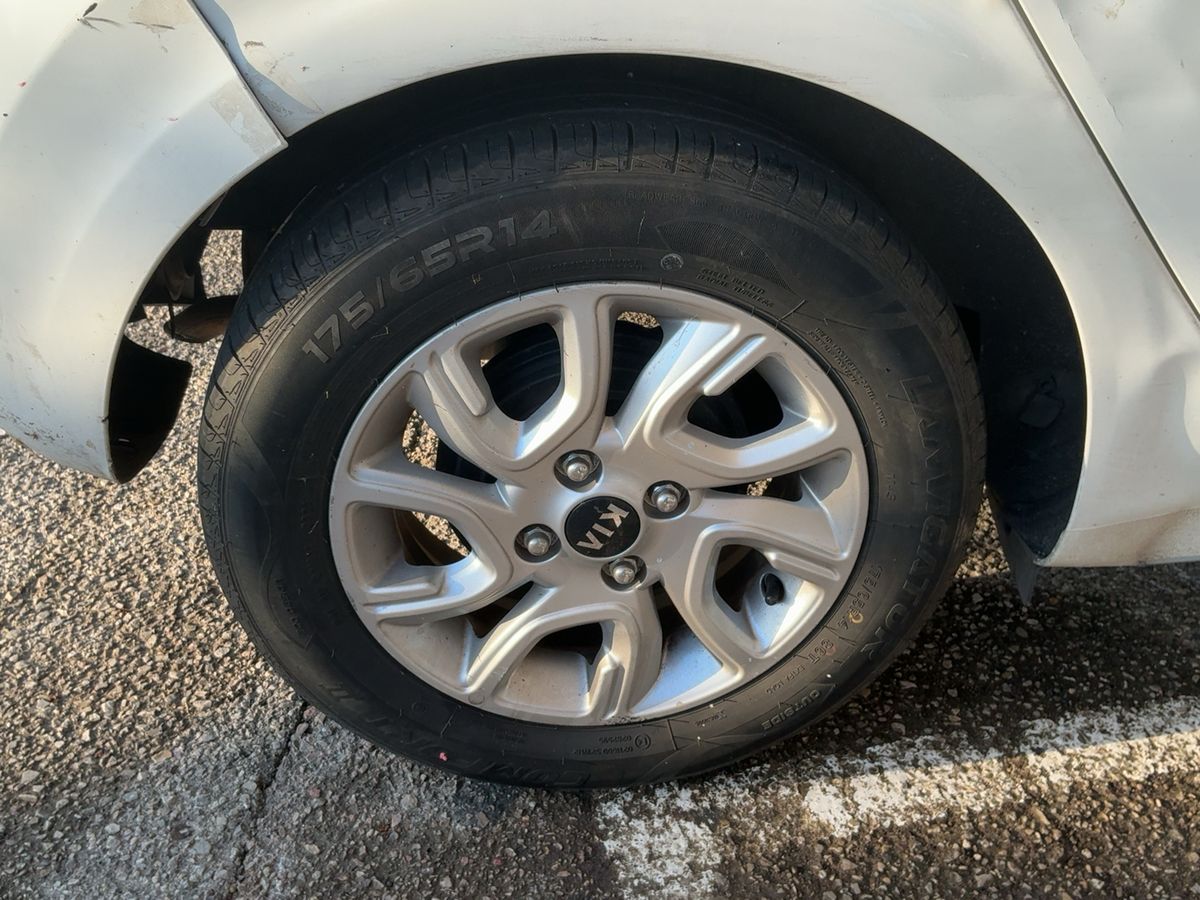 Neumático trasero derecho