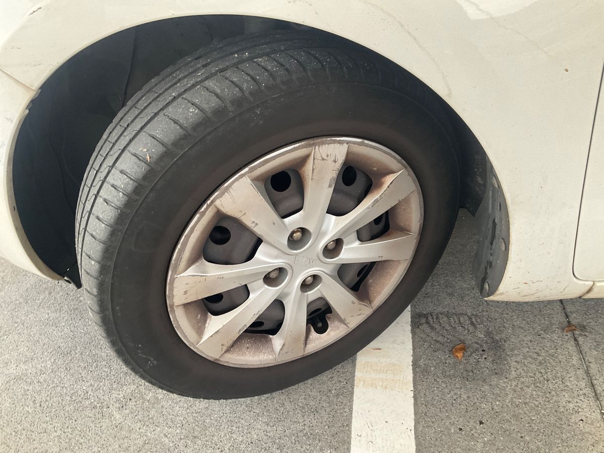 Neumático delantero izquierdo