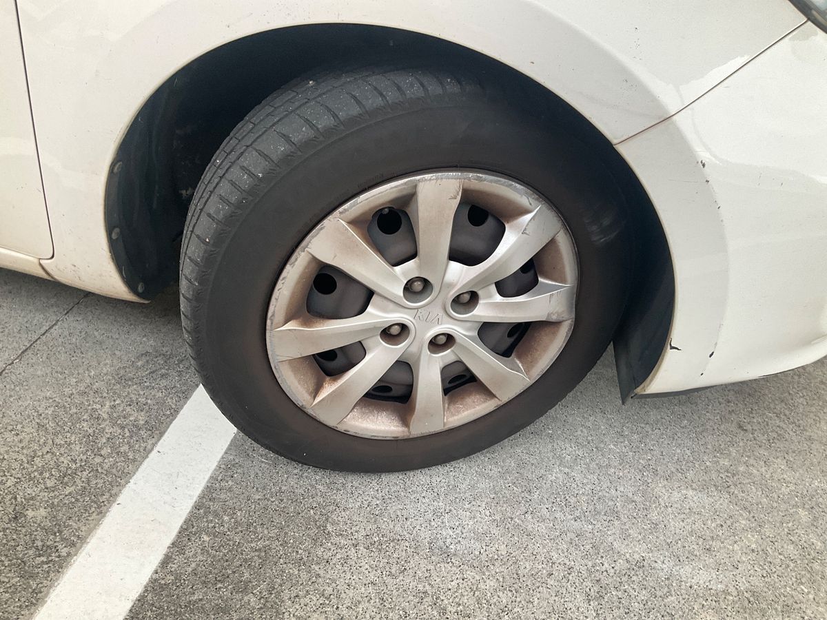 Neumático delantero derecho