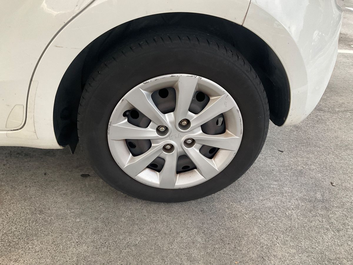 Neumático trasero izquierdo