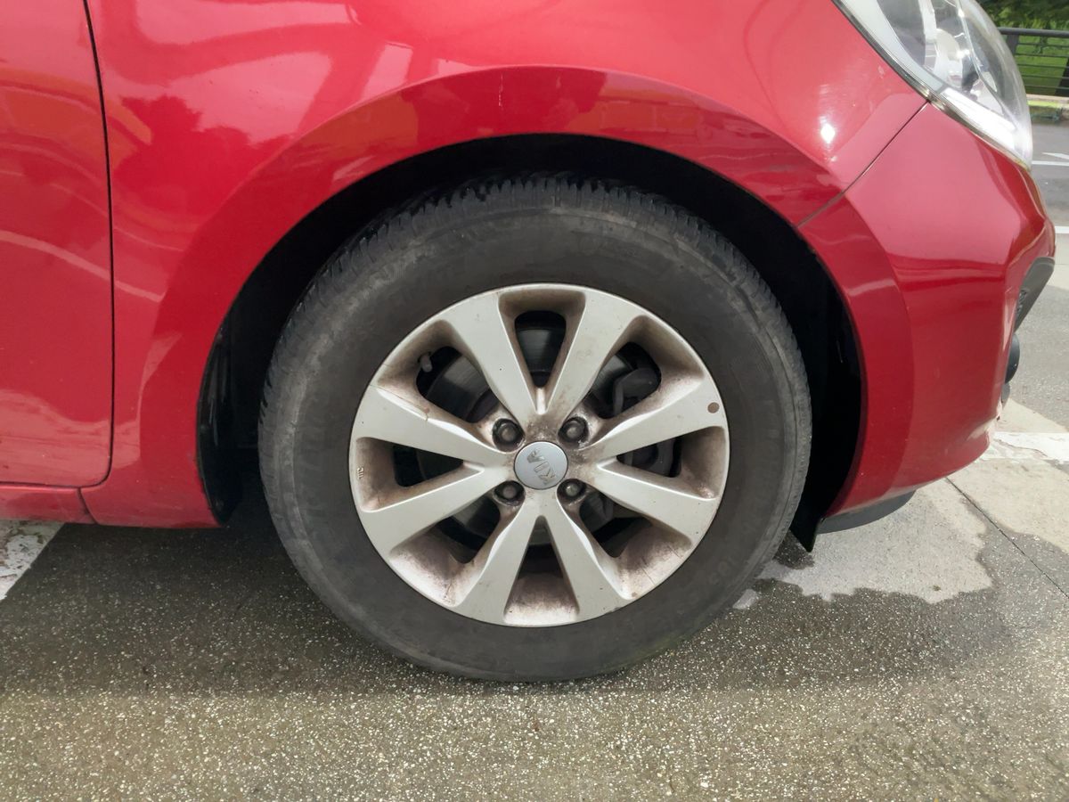 Neumático delantero derecho