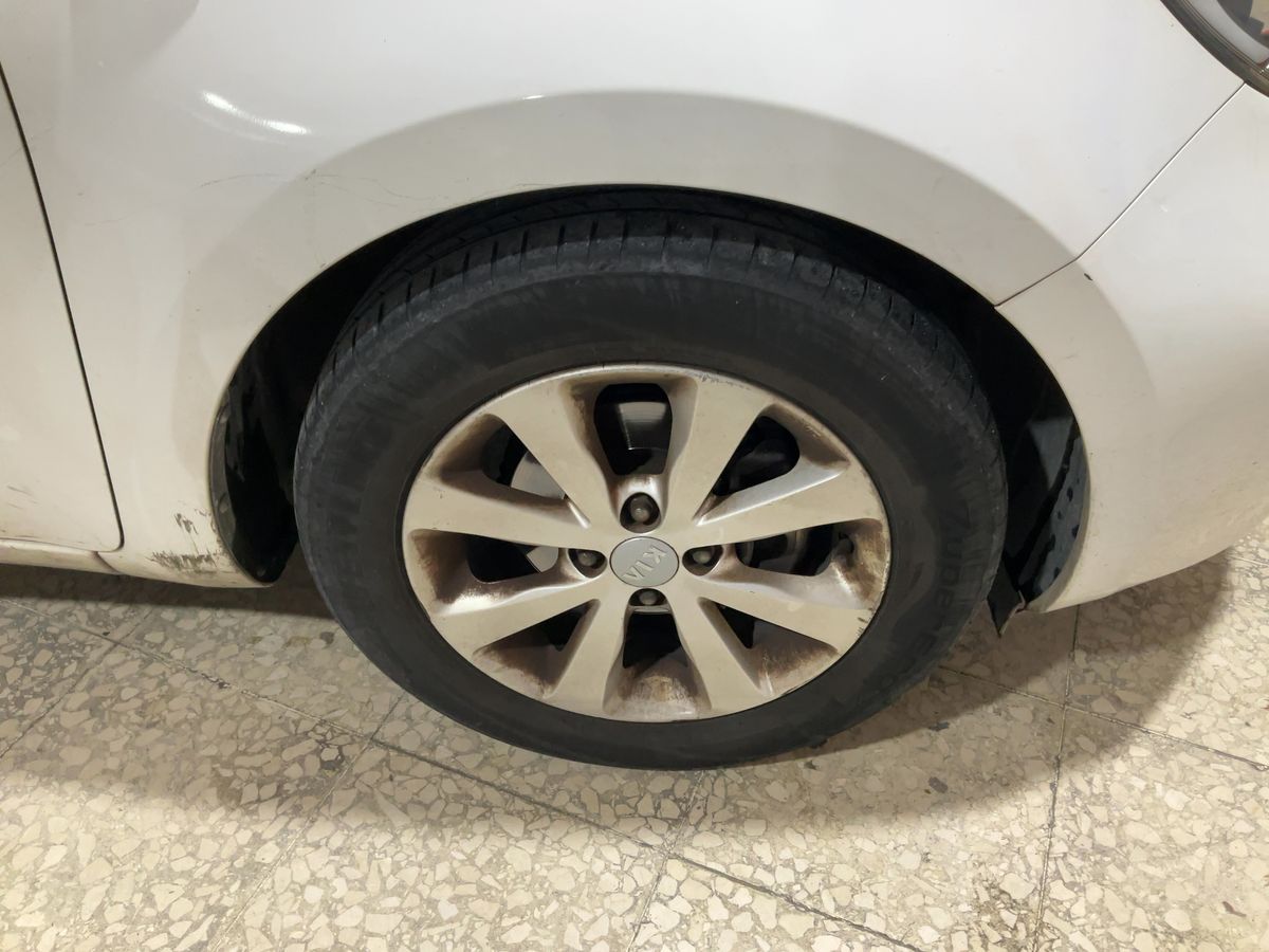 Neumático delantero derecho