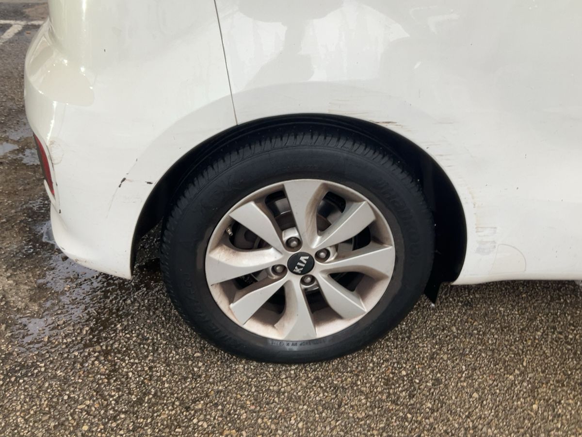 Neumático trasero derecho