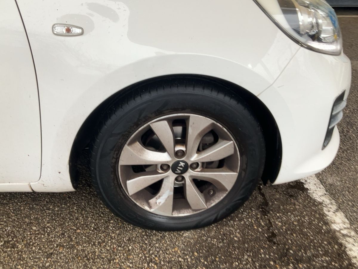 Neumático delantero derecho