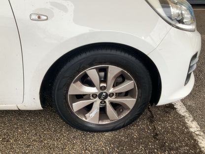 Neumático delantero derecho