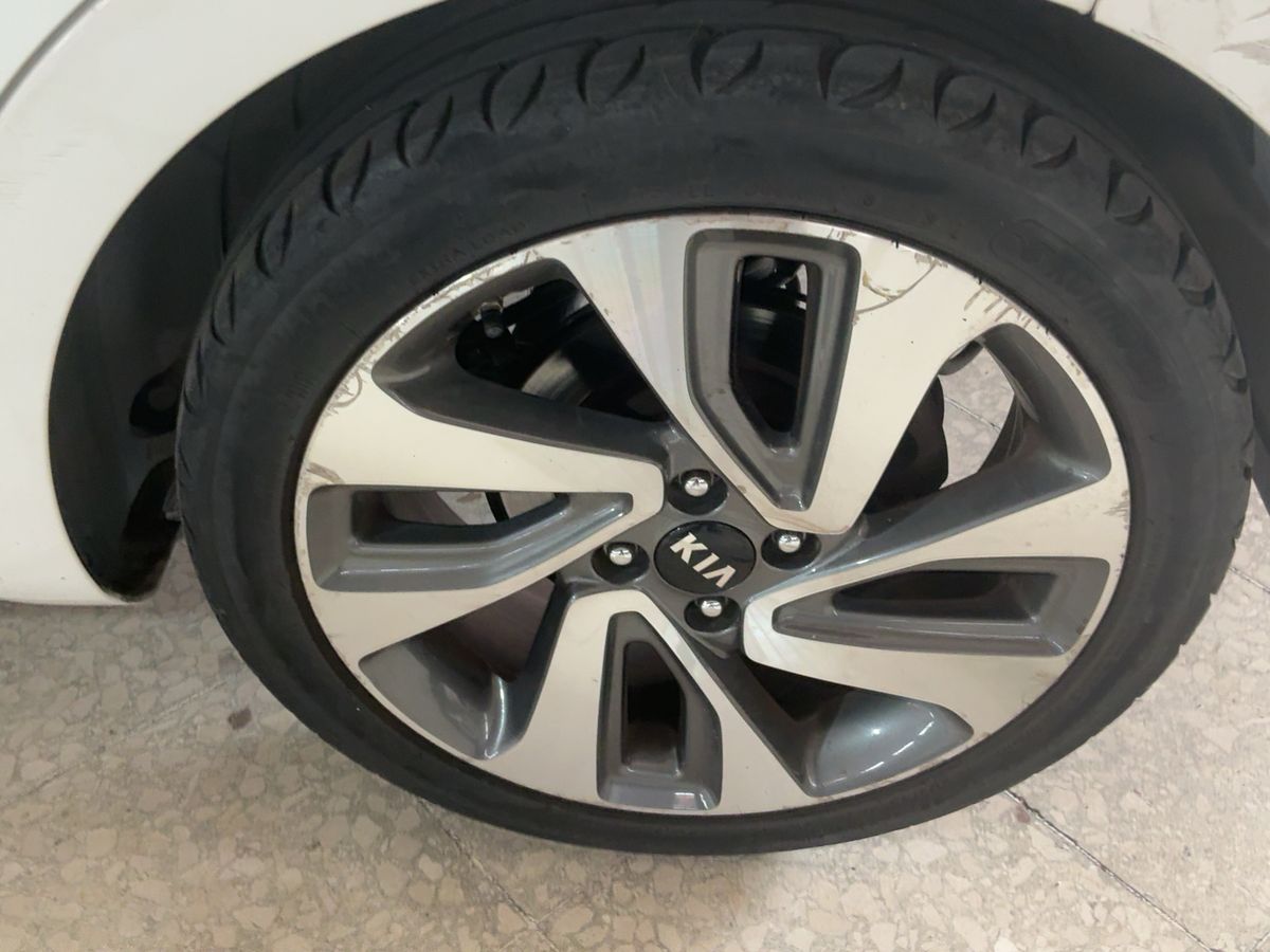 Neumático trasero izquierdo