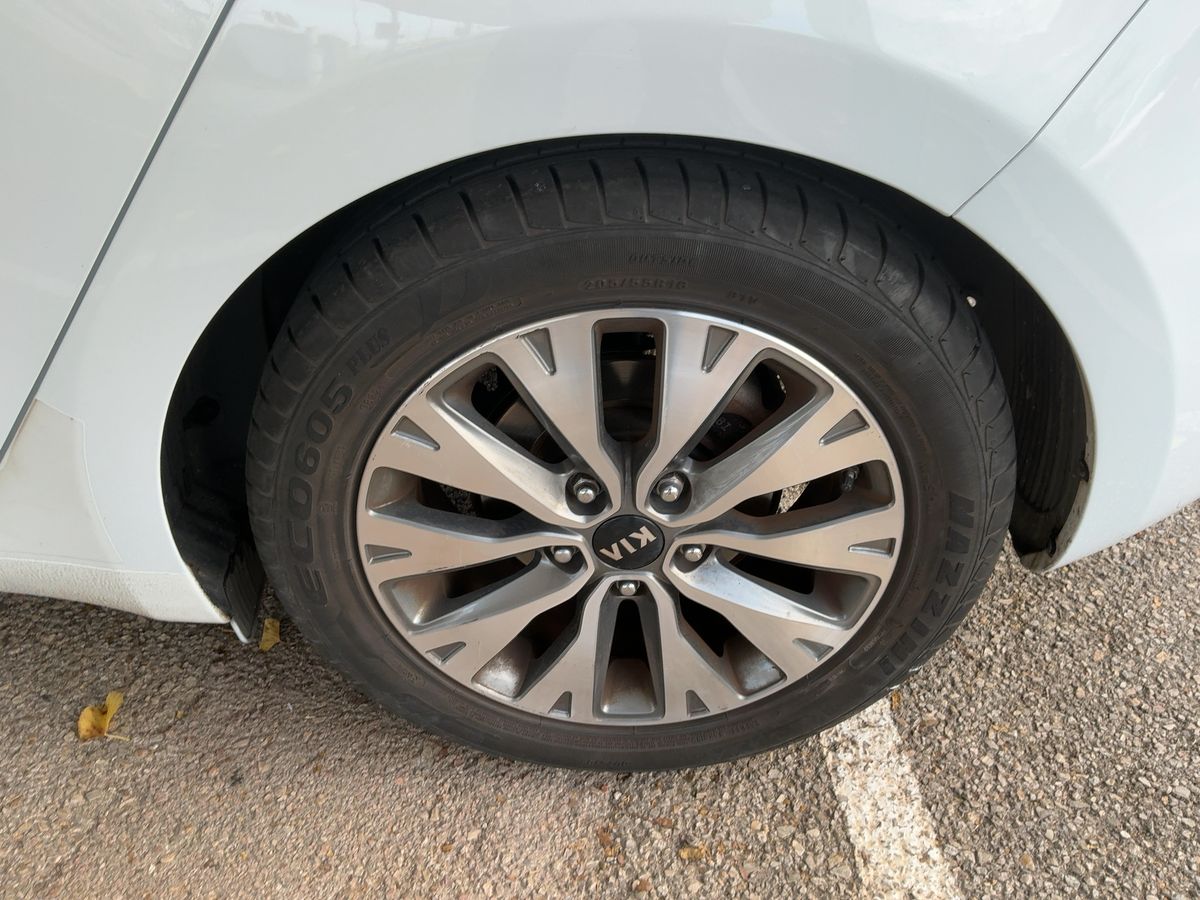 Neumático trasero izquierdo