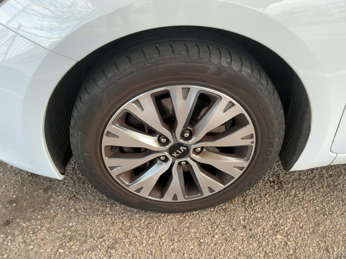 Neumático delantero izquierdo