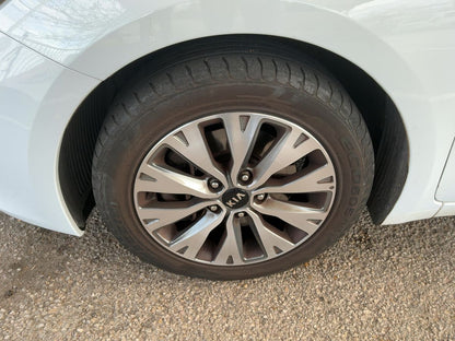 Neumático delantero izquierdo