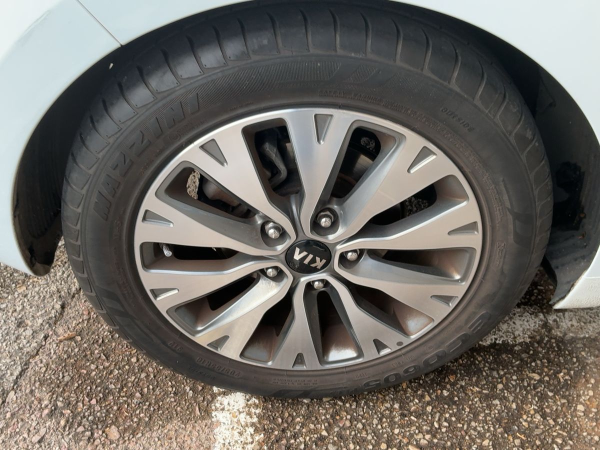 Neumático trasero derecho