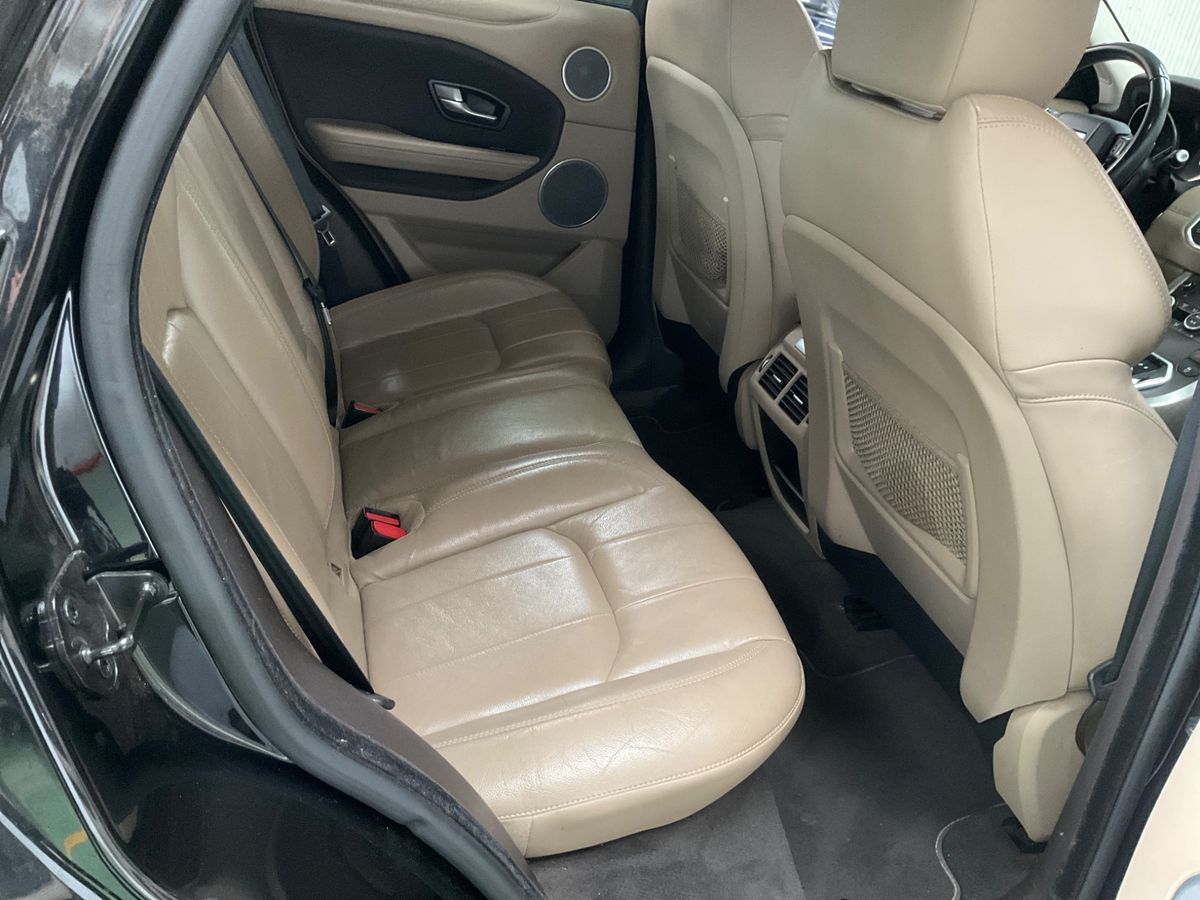 Interior trasero
