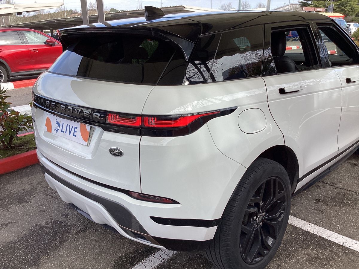 Parte trasera derecha