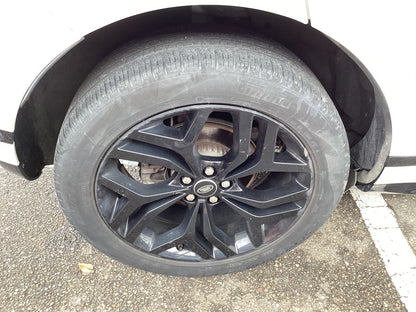 Neumático trasero derecho