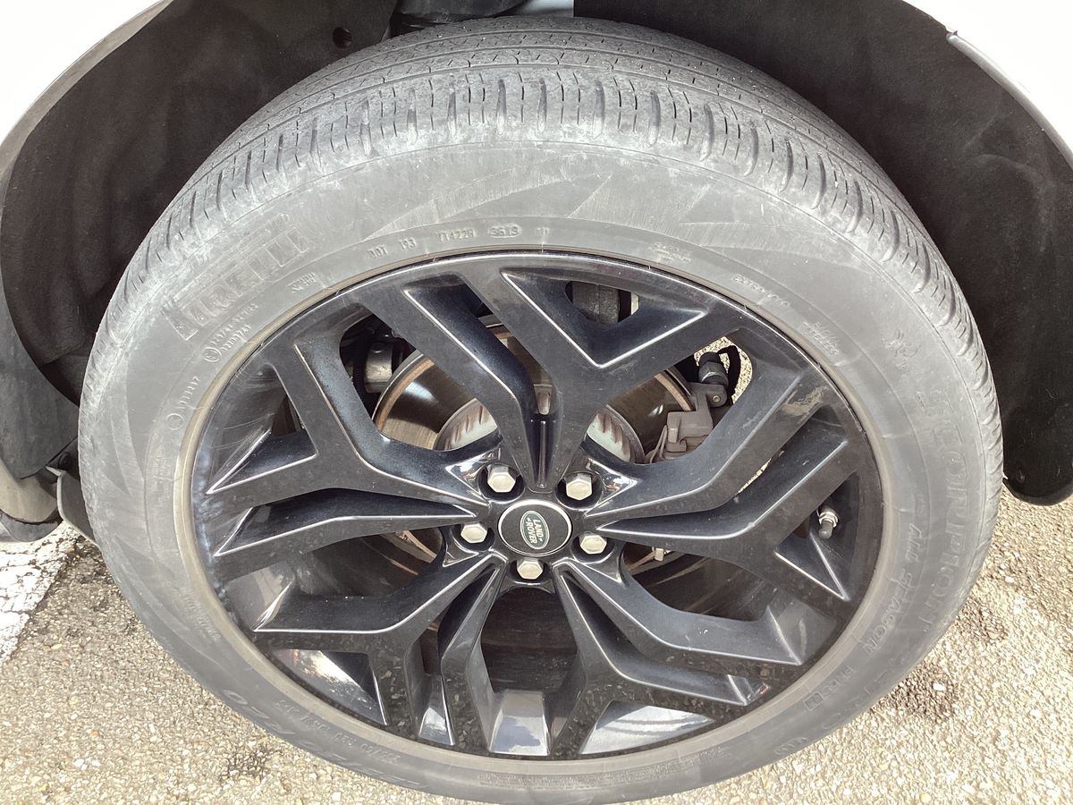 Neumático trasero izquierdo