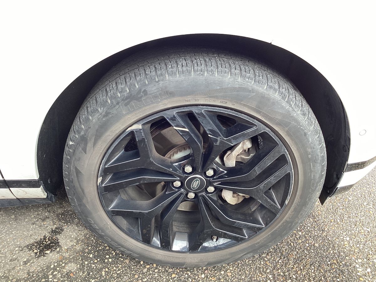 Neumático delantero derecho