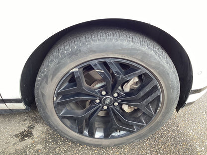 Neumático delantero derecho