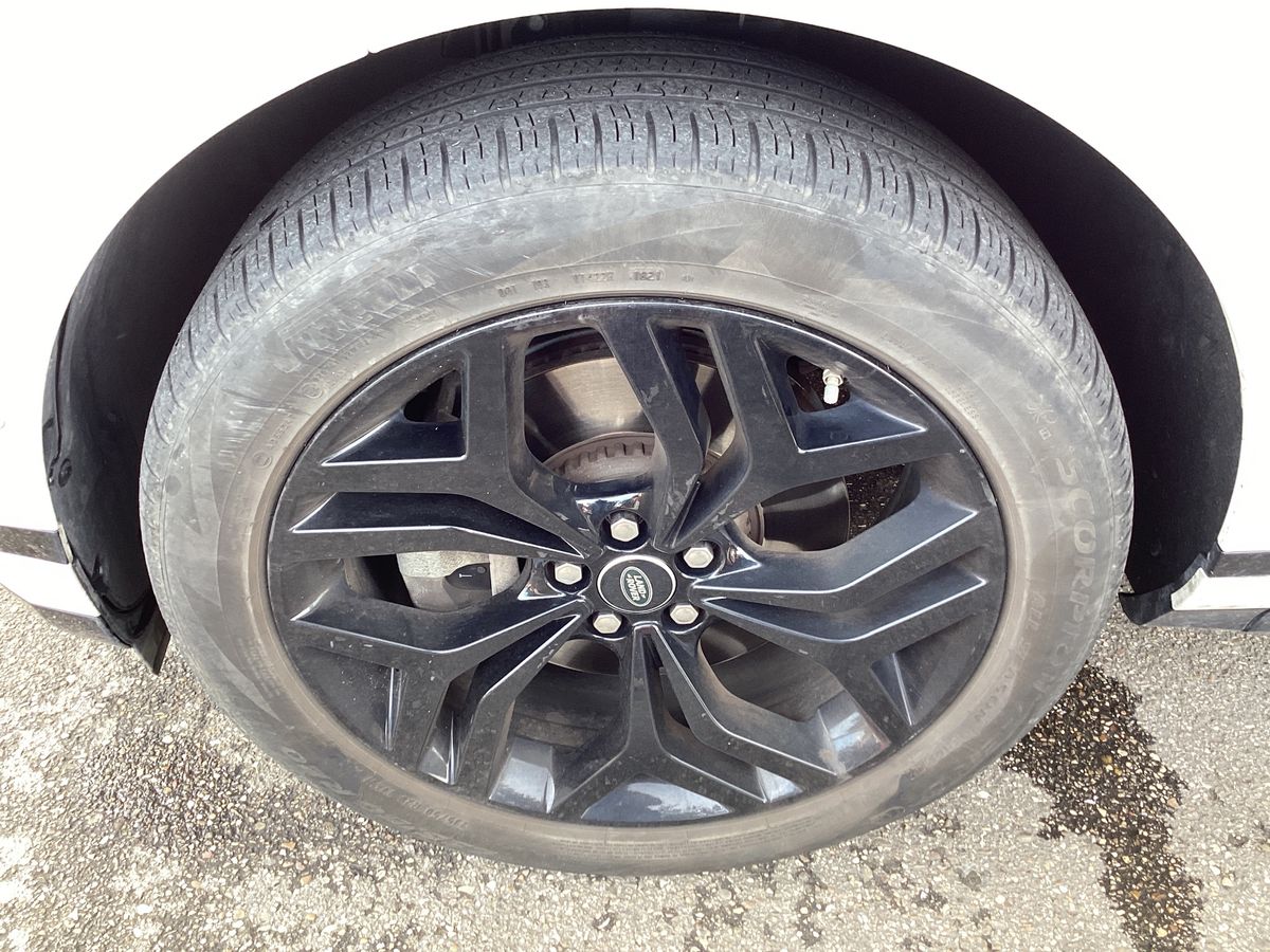 Neumático delantero izquierdo