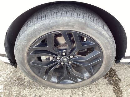 Neumático delantero izquierdo