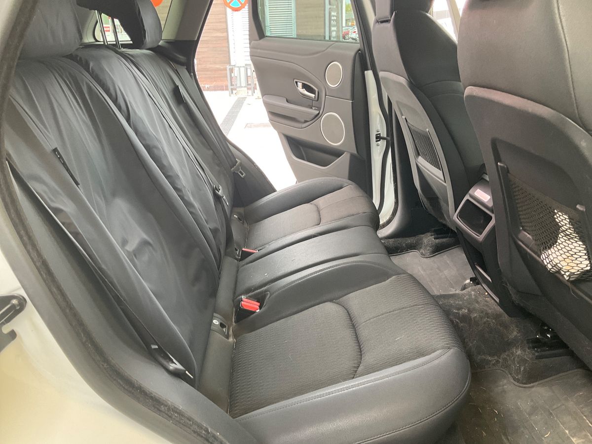 Interior trasero