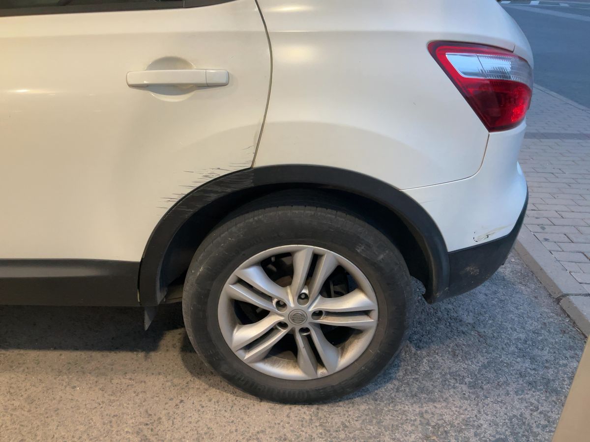 Neumático trasero izquierdo