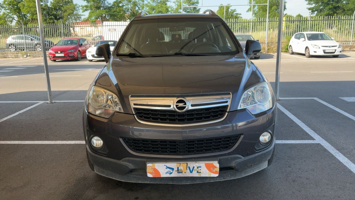 Frontal