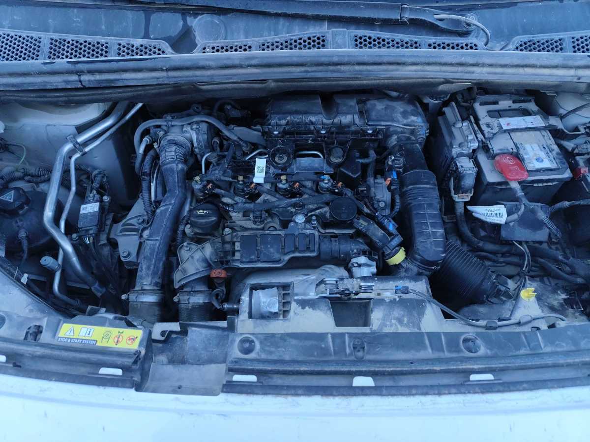 Motor