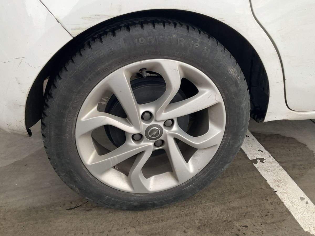 Neumático trasero derecho