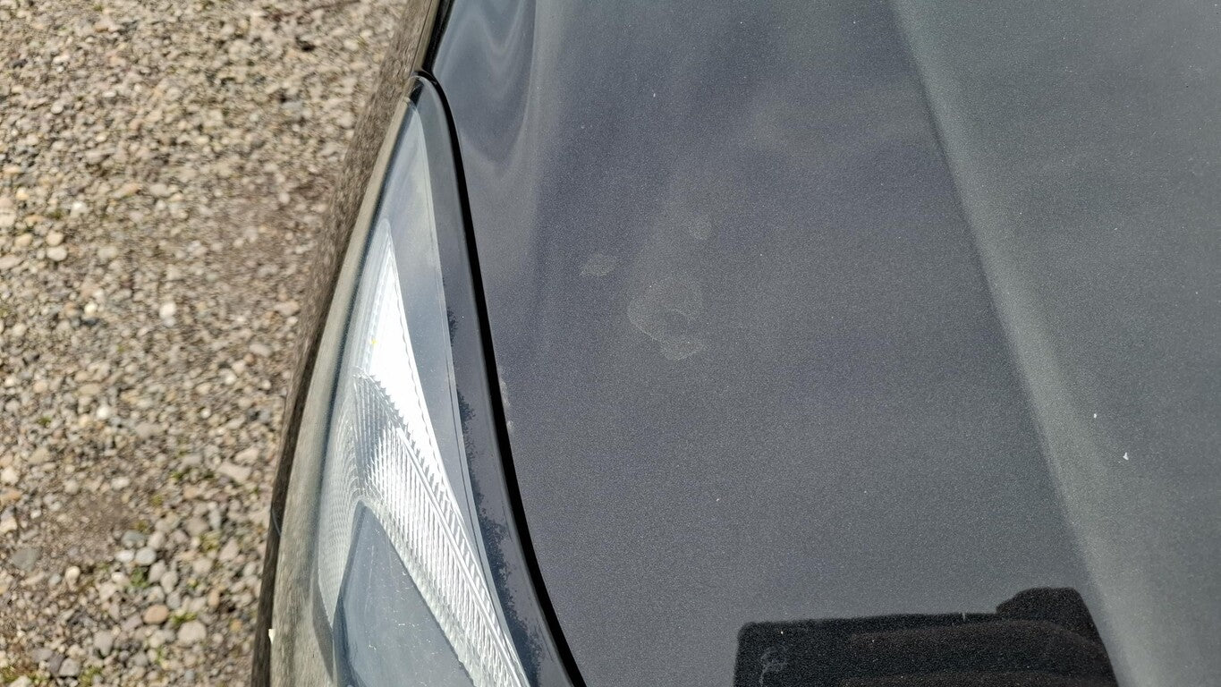 Opel Corsa 1.4 Turbo Edition PDC SHZ GRA CD 3.0 BT 166265244 15