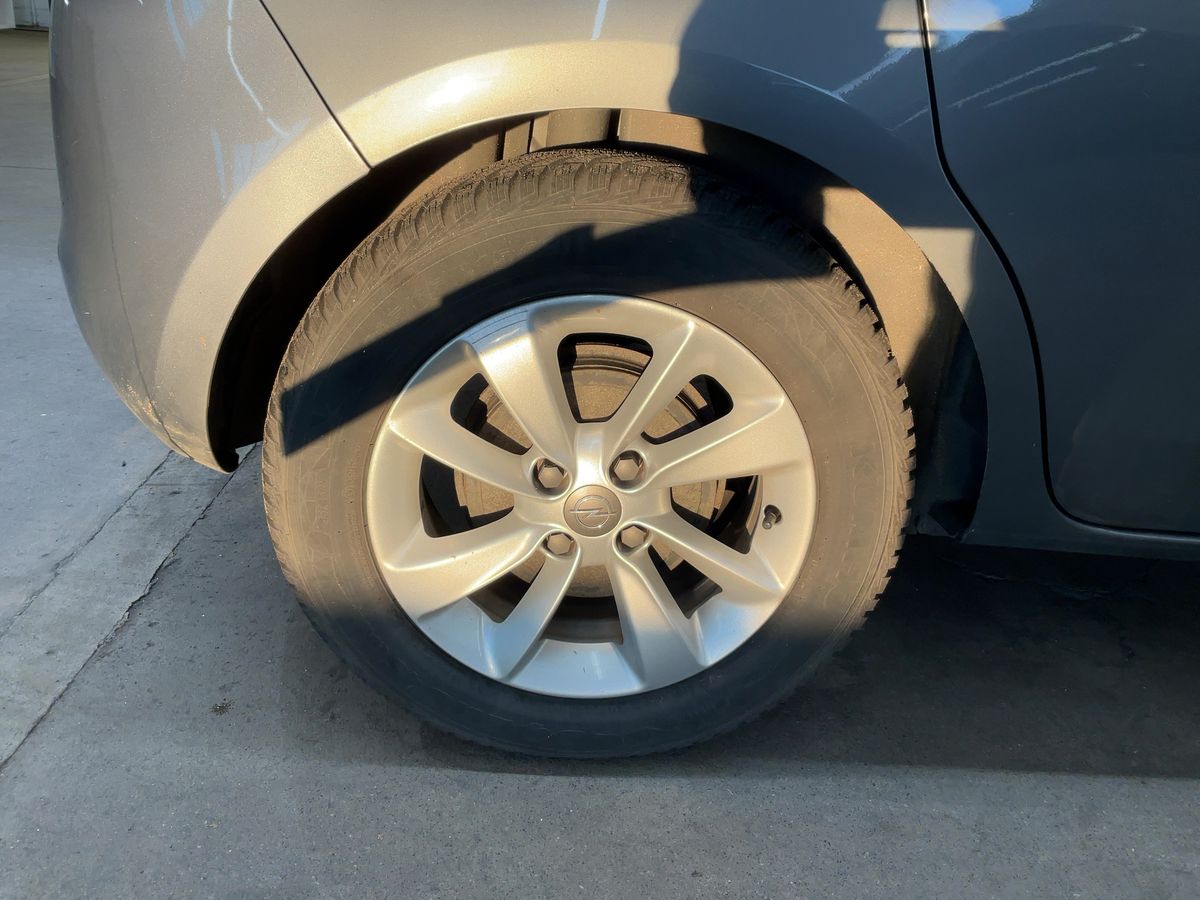 Neumático trasero derecho