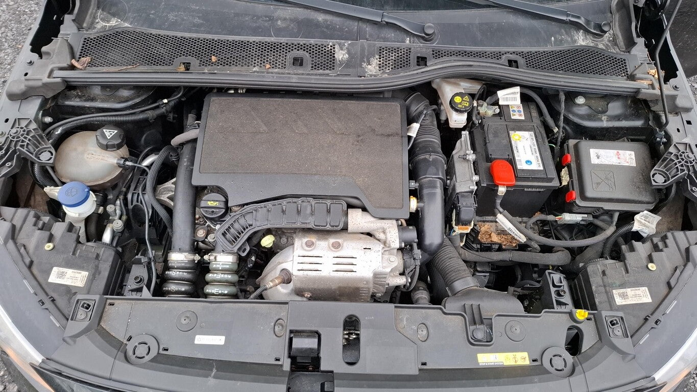 Opel Corsa F 1.2 Edition Klima SHZ VZE Lane PDC GRA 150981084 11