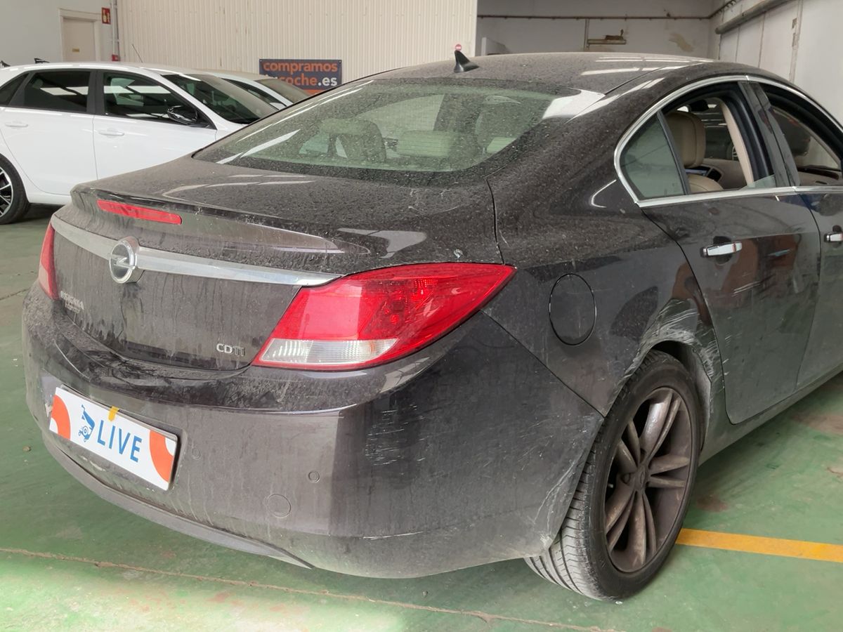 Parte trasera derecha