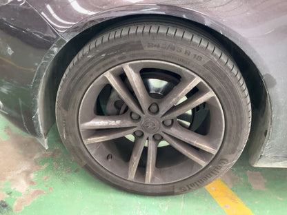 Neumático delantero izquierdo