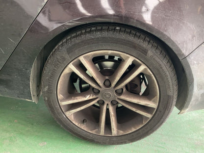 Neumático trasero izquierdo