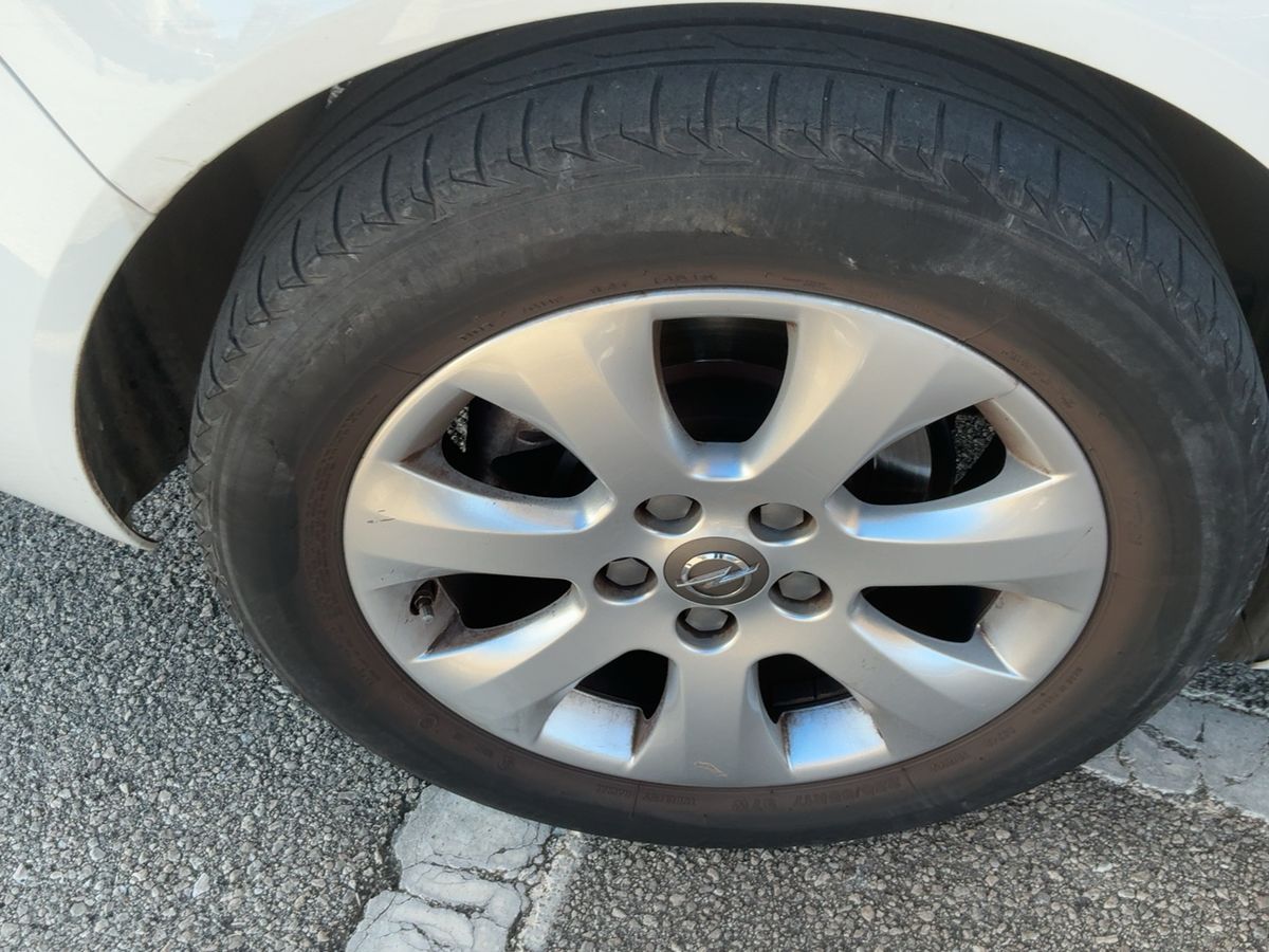 Neumático trasero derecho