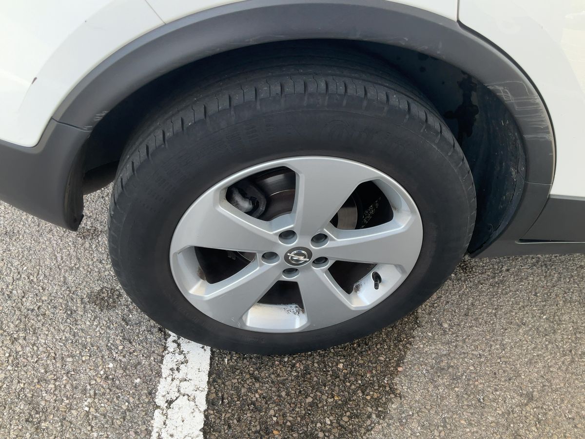 Neumático trasero derecho