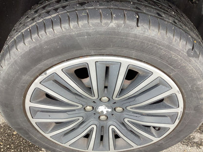 Neumático trasero derecho