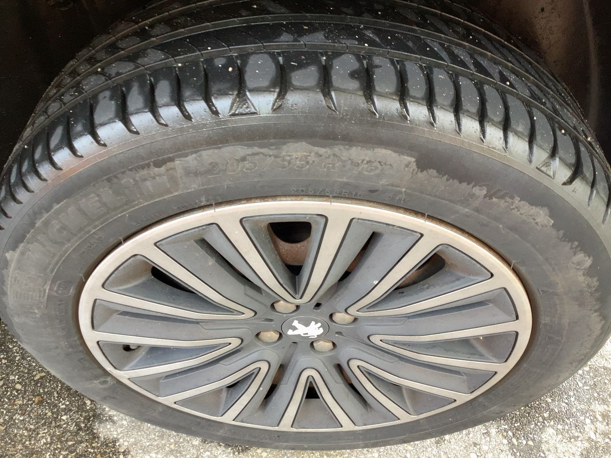 Neumático trasero izquierdo