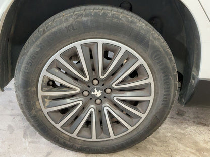 Neumático trasero derecho