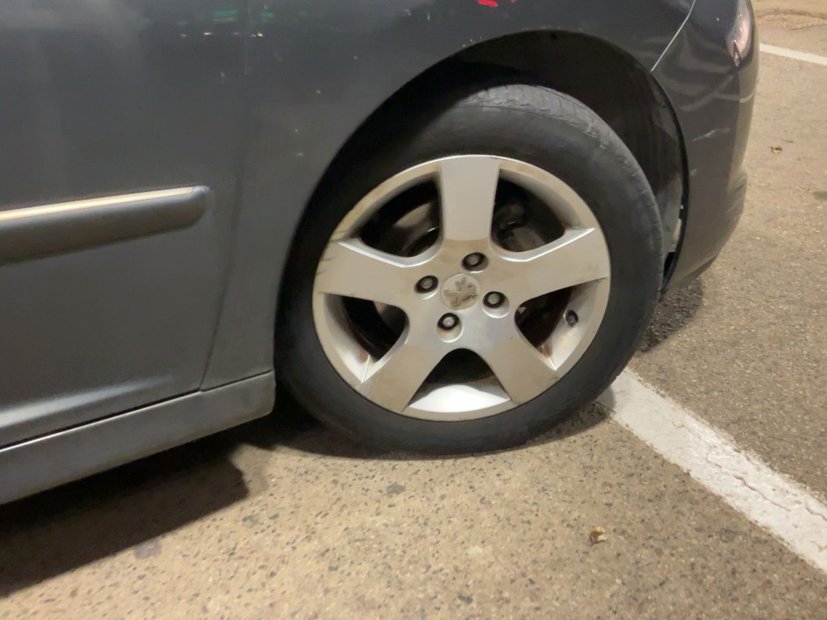 Neumático delantero derecho