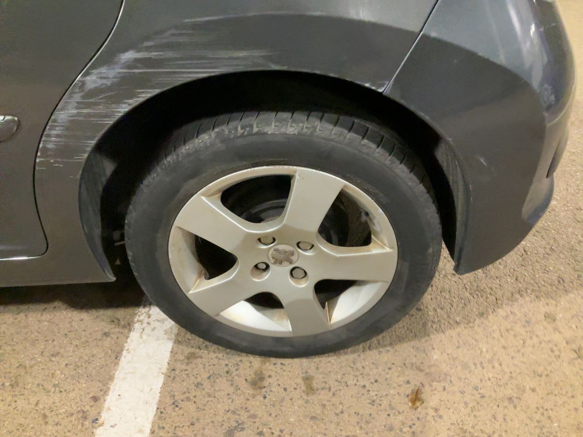 Neumático trasero izquierdo