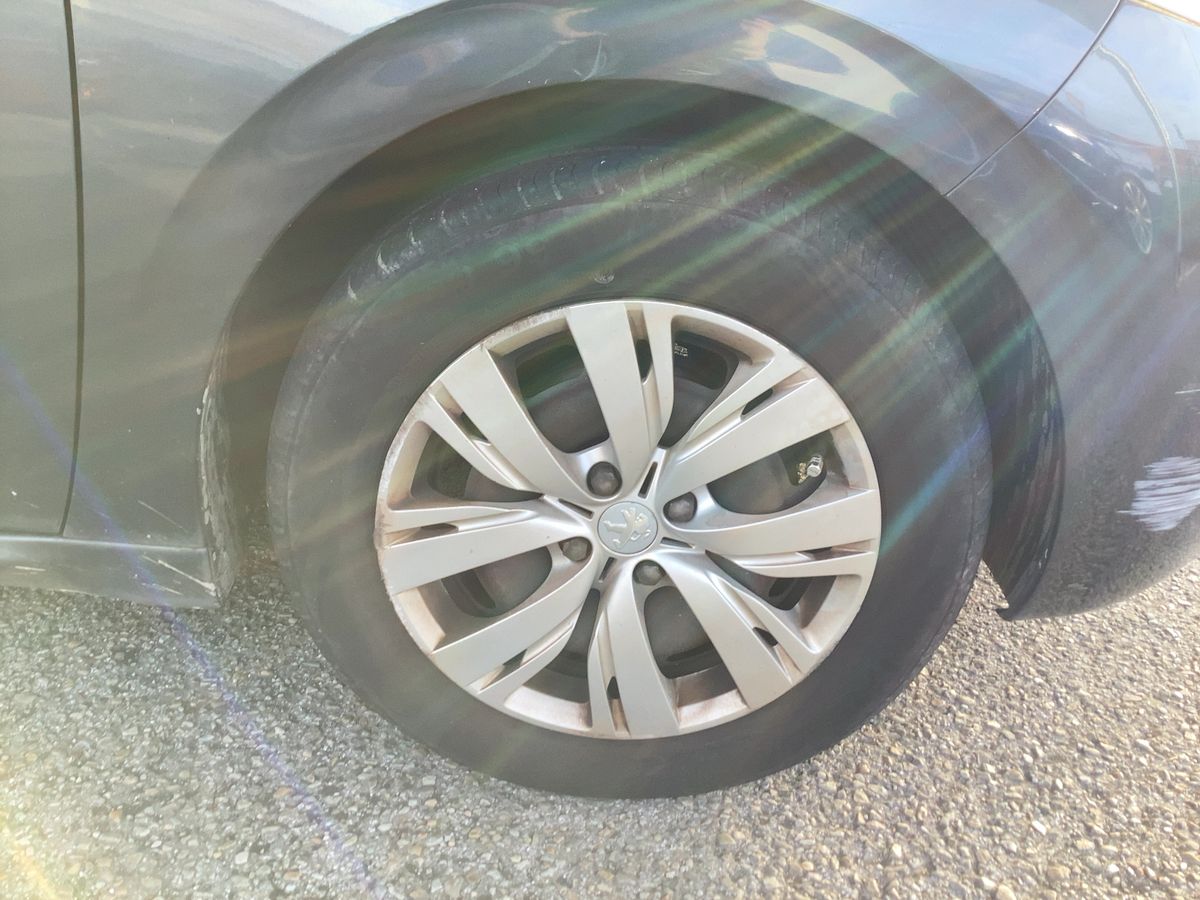 Neumático delantero derecho