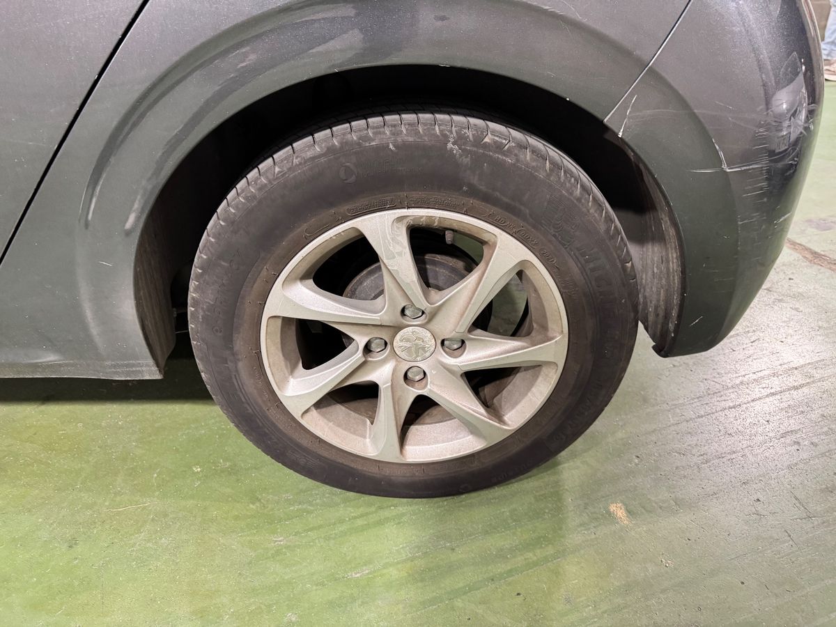 Neumático trasero izquierdo