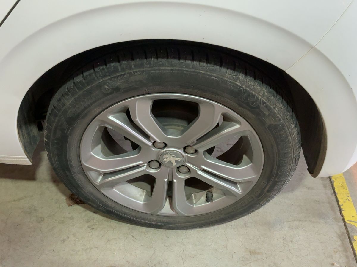 Neumático trasero izquierdo