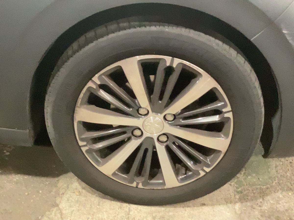 Neumático delantero derecho